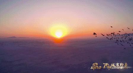 快看！“70秒城市印象”首推延边！上线1小时*放播**量160000+