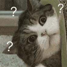 最近有多少人被骗微信,青岛微信诈骗最新套路