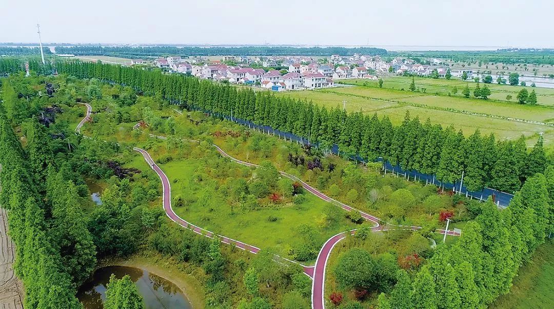 崇明围垦历史事件,崇明围垦纪录片