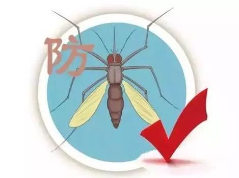 @全体南宁人，赶紧翻盆倒罐动起来！“三红”、“三痛”又是啥?