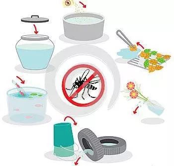 @全体南宁人，赶紧翻盆倒罐动起来！“三红”、“三痛”又是啥?