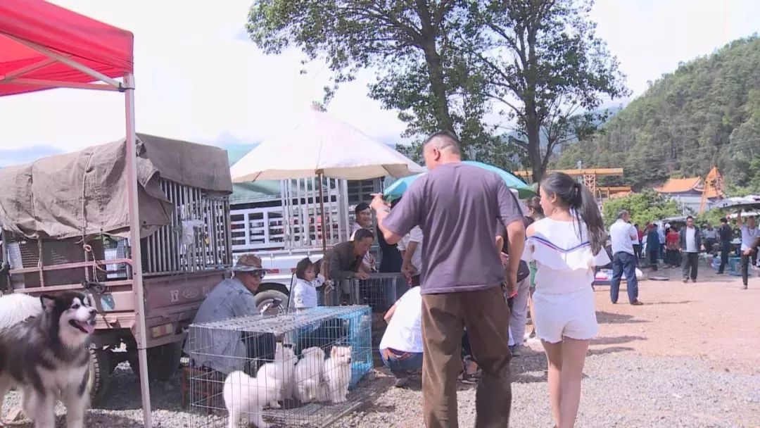 狗市下关,狗市搬迁