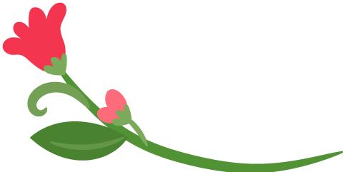 毕业生档案补办,毕业生报到证补办怎么搞