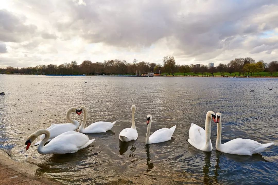 成都有锦城湖公园吗,成都锦城公园简介