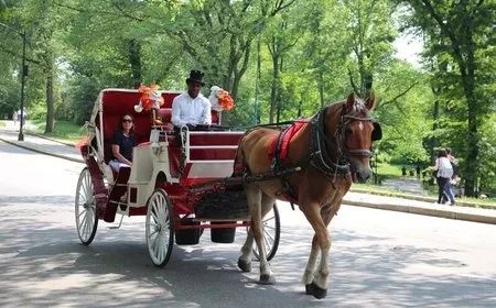 成都有锦城湖公园吗,成都锦城公园简介