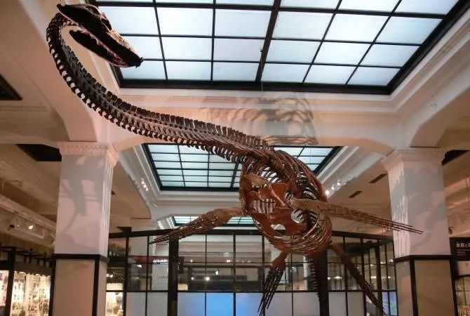 成都有锦城湖公园吗,成都锦城公园简介