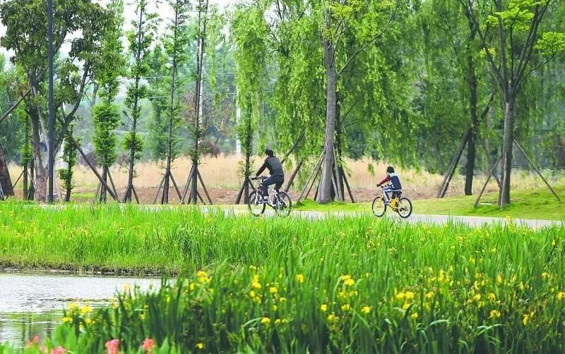 成都有锦城湖公园吗,成都锦城公园简介