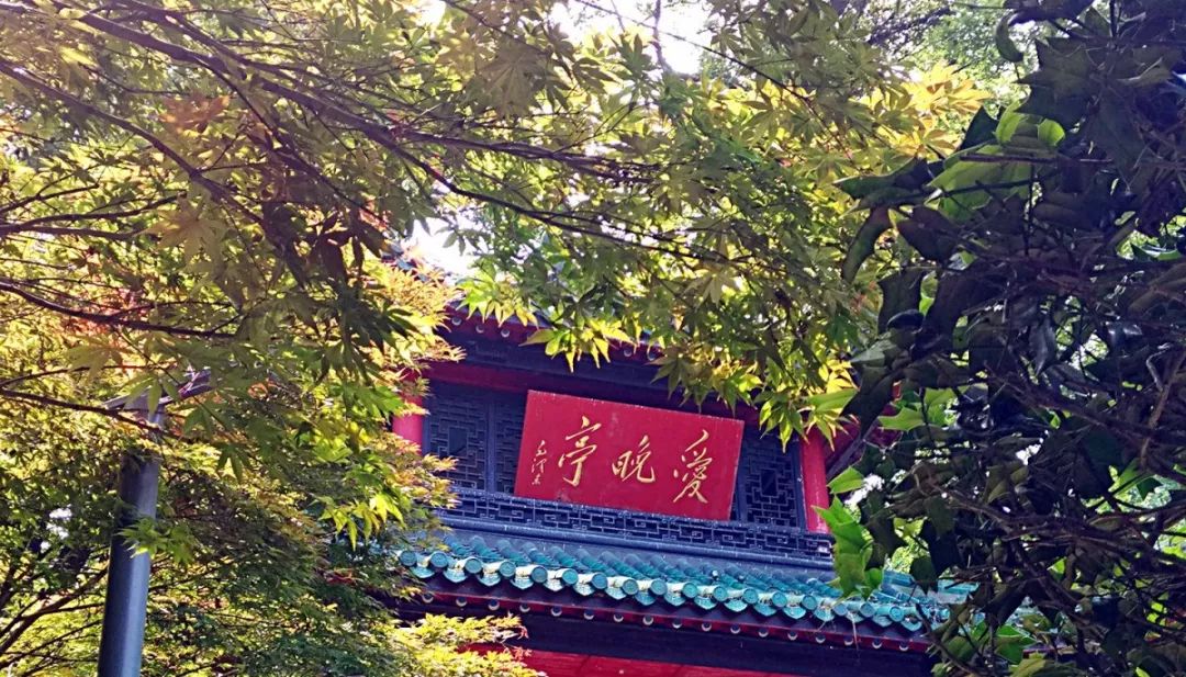 长沙西班牙教练足球夏令营,西班牙人足球俱乐部夏令营