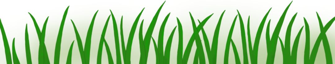 【全市法院“首届足球邀请赛”】“惊喜连连”的开幕式，要围观吗？