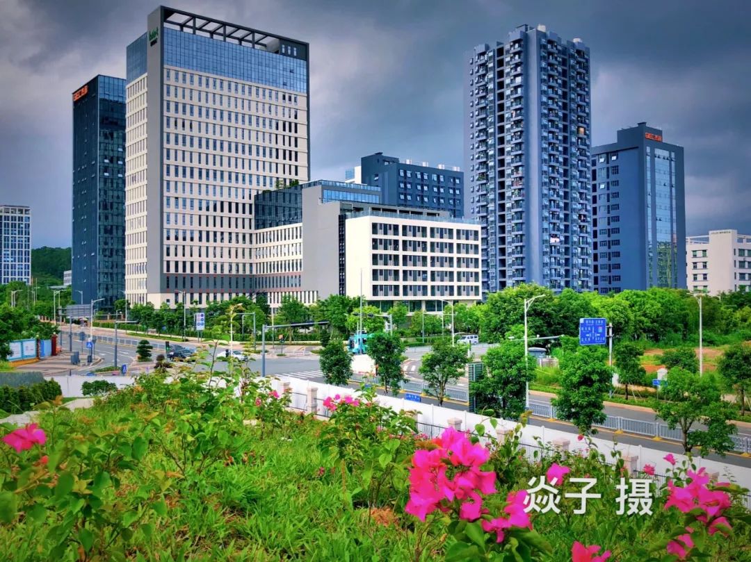 坪商有趣的企业名谜，看看有无你所在的公司