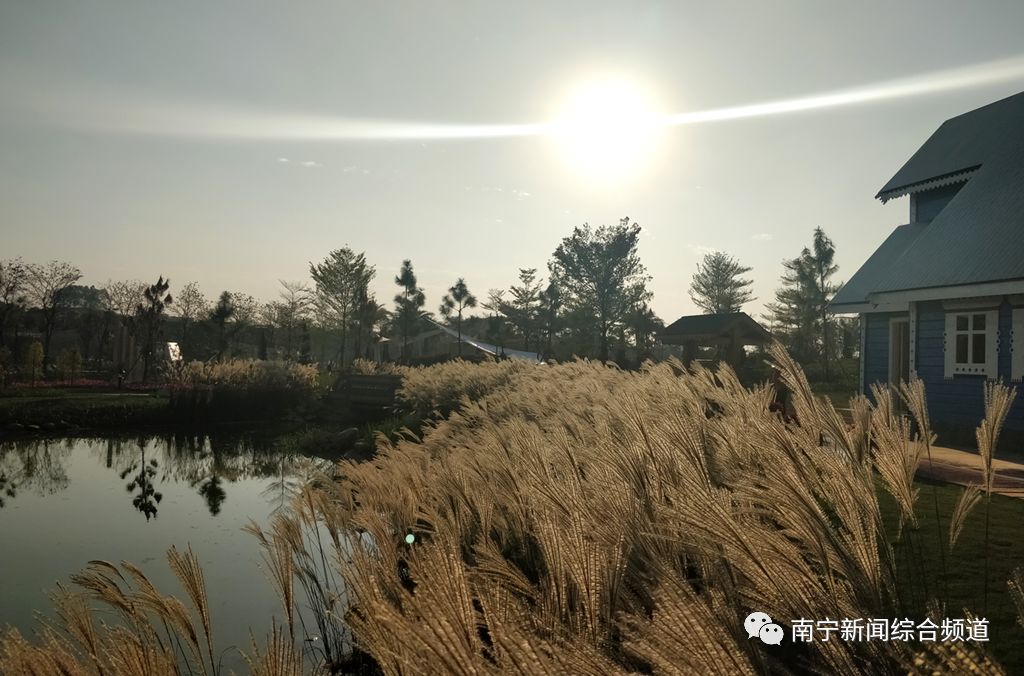 南宁园博园优惠价格,南宁园博园优惠活动今天有票吗