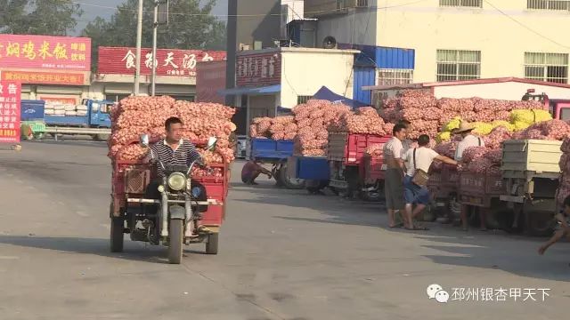 今天，人民网聚焦邳州：小蒜头撬动百亿级大产业