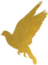 普莱柯生物张许科,创新创业与家国情怀