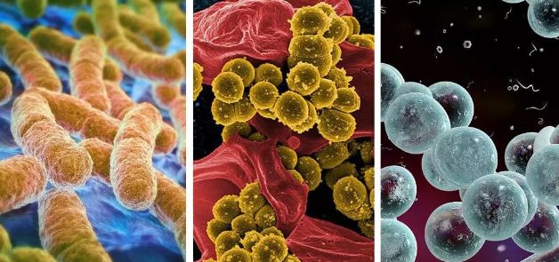 美国nasa咽喉喷剂,美国防止细菌的喷雾