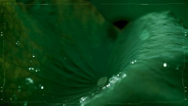 地表Zui强！暴雨蹦迪从不湿还巨暖和！比2个鸡蛋还轻，走8小时一点都不累