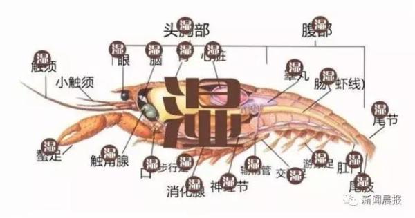 世界清洁地球日垃圾分类知识问答,垃圾分类小科普这些你都了解吗