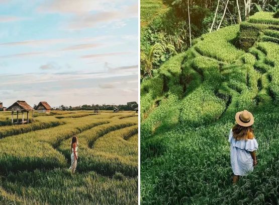 时隔11年，这个奢牌酒店终在中国开了第二家，450㎡起别墅villa秒杀巴厘岛