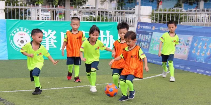 肇庆市十大小学排名一览表,广东肇庆足球学校排名