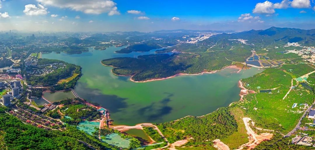 金众麒麟公馆值得买吗,深圳湾金众麒麟公馆