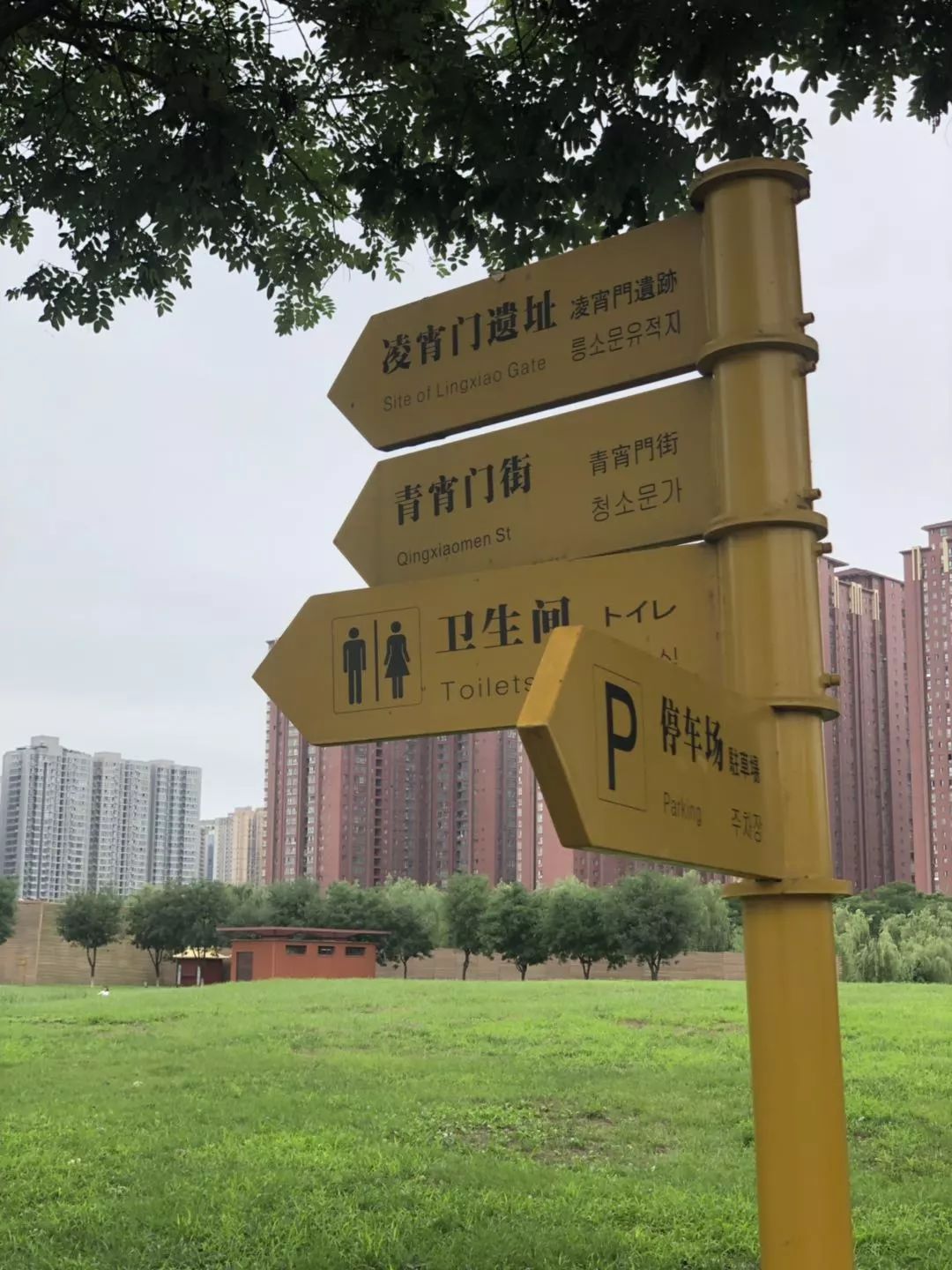 西安国际体育场,西安标准体育场