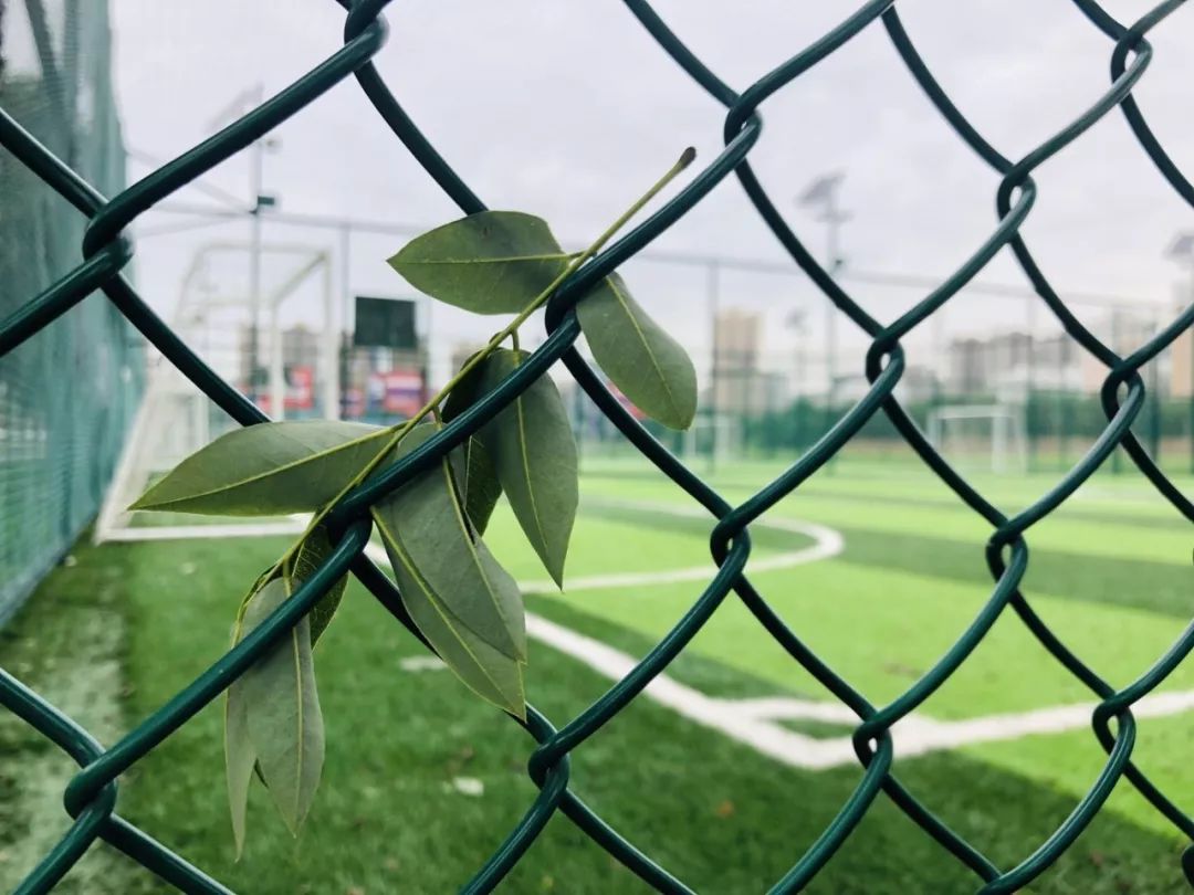 西安国际体育场,西安标准体育场