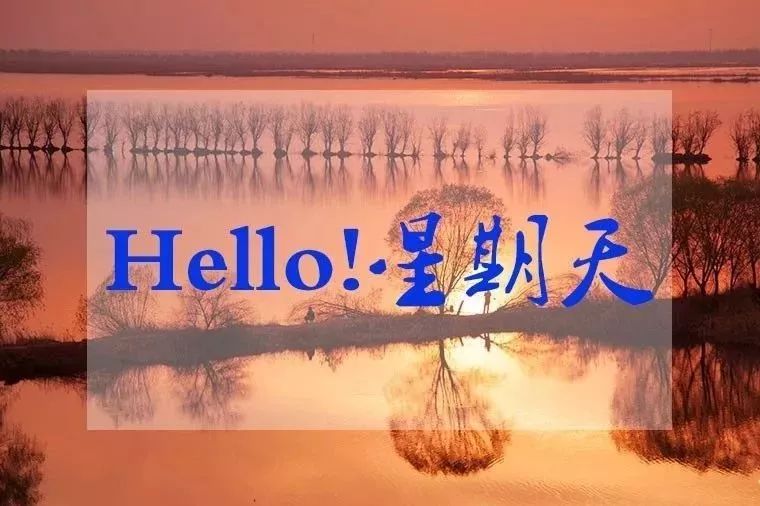 Hello！星期天丨衡水人上周你错过了哪些大事？快来看看吧