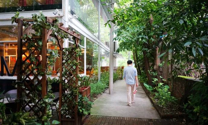 红专厂,红专厂现在的情况