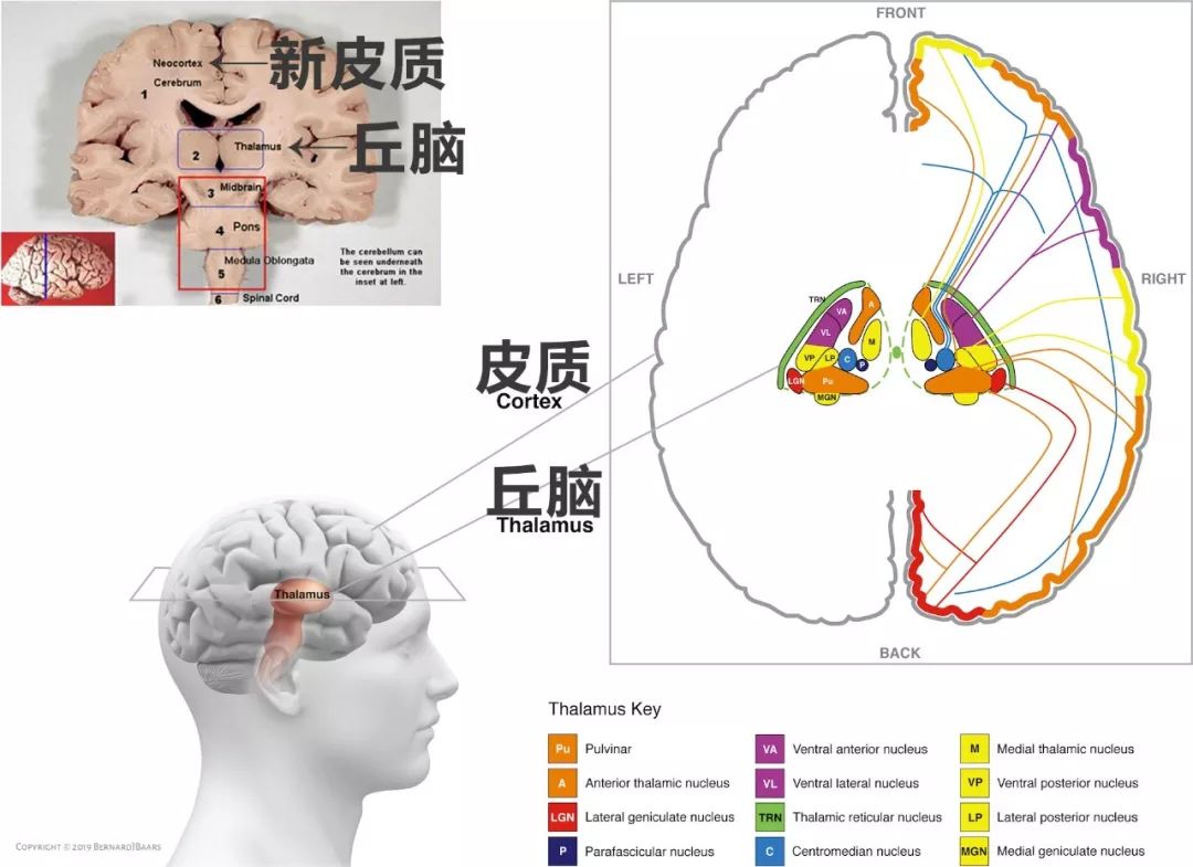 人死后意识还能保留吗,人死后会消散意识吗