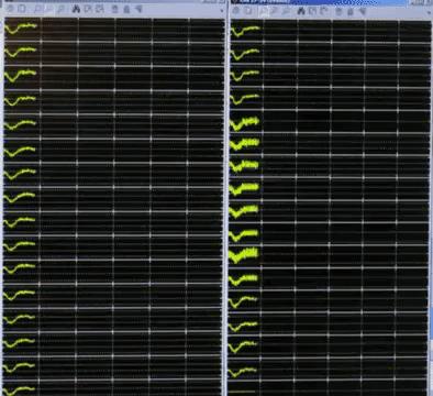 人死后意识还能保留吗,人死后会消散意识吗