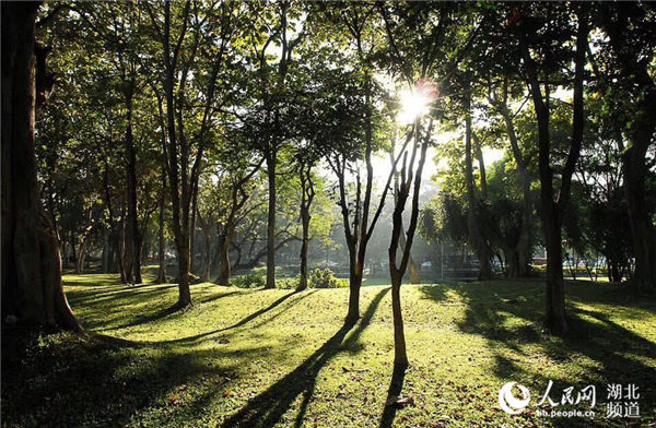 湖北潜江：一座绿色之城的咏唱
