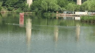 天呐！武汉这个区开挂了！反正我是羡慕了！