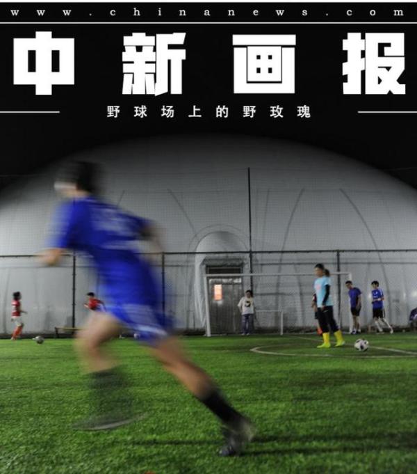 球场野玫瑰,野球场上