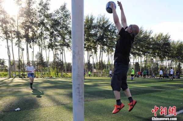 球场野玫瑰,野球场上