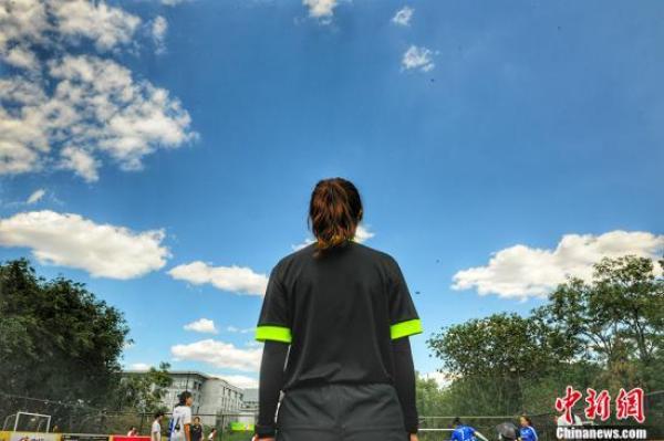 球场野玫瑰,野球场上