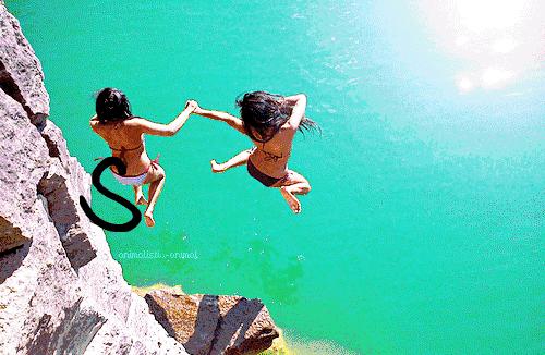 来黄山必做四件事,初夏黄山必打卡