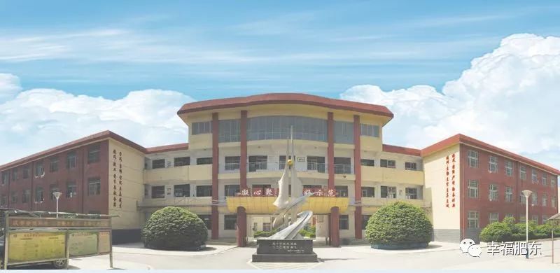 肥东一中二中艺体班,合肥一中特长生招生计划