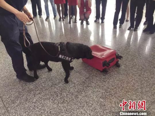 货被海关扣了货代怎么赔偿,货被海关扣了责任由谁承担