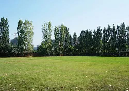 世警会双流,双流民警