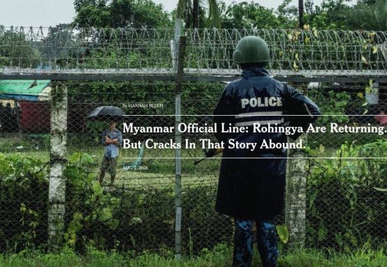 戛纳国际创意节户外奖,戛纳国际电影节新闻