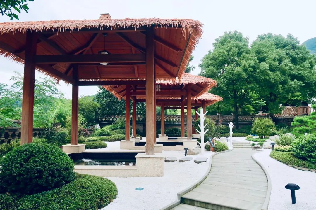 又挖到个21℃的清凉山城，还藏着人均¥300+就能入住的浙南“小星野”，仅限200套