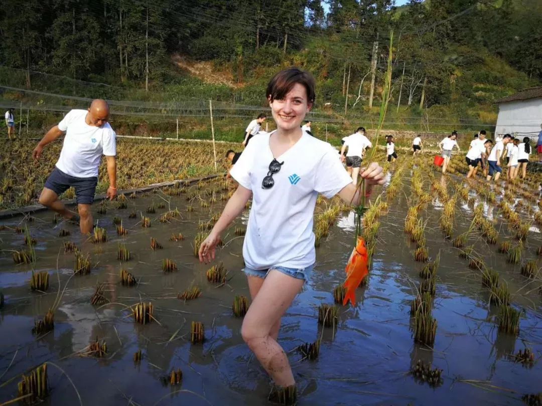 又挖到个21℃的清凉山城，还藏着人均¥300+就能入住的浙南“小星野”，仅限200套