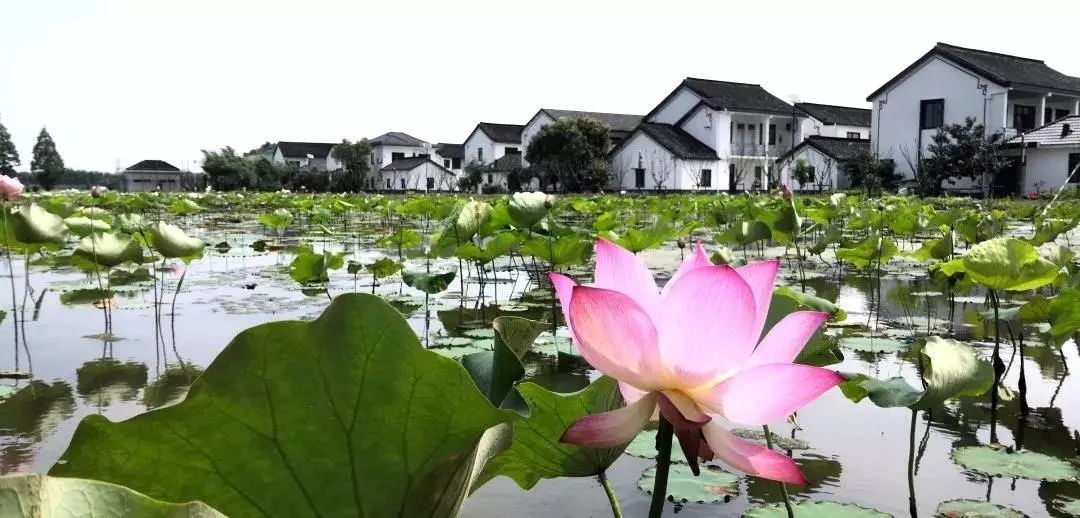 澶忔棩鐐庣値涓嶈礋缇庢櫙,鐐庣値澶忔棩澶ф槑婀栦篃涓嶇己缇庢櫙