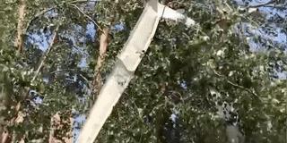 辽宁省开原市遭受龙卷风,辽宁省开原市被龙卷风袭击