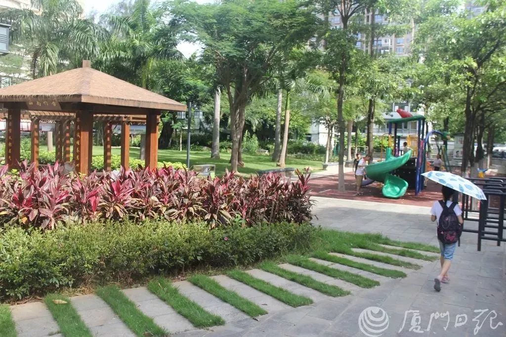 华丽升级,厦禾路哪一年改造