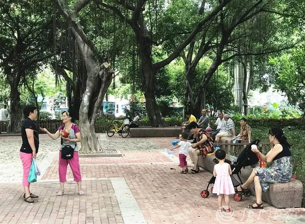 华丽升级,厦禾路哪一年改造