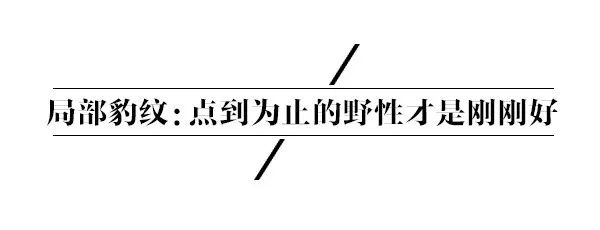 豹纹怎么穿不俗气,豹纹怎么穿出高级感