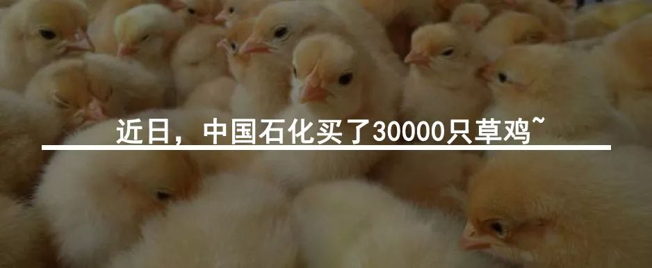 加油卡丢失了怎样注销,河南中石化加油卡挂失后如何补办