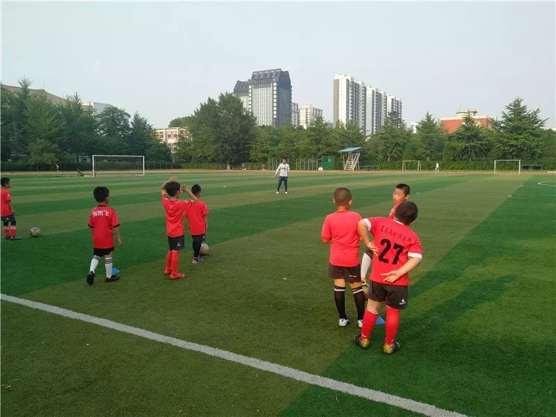 「毕业季之五」——沈河体校蓝天足球俱乐部：足球是纽带毕业不散场