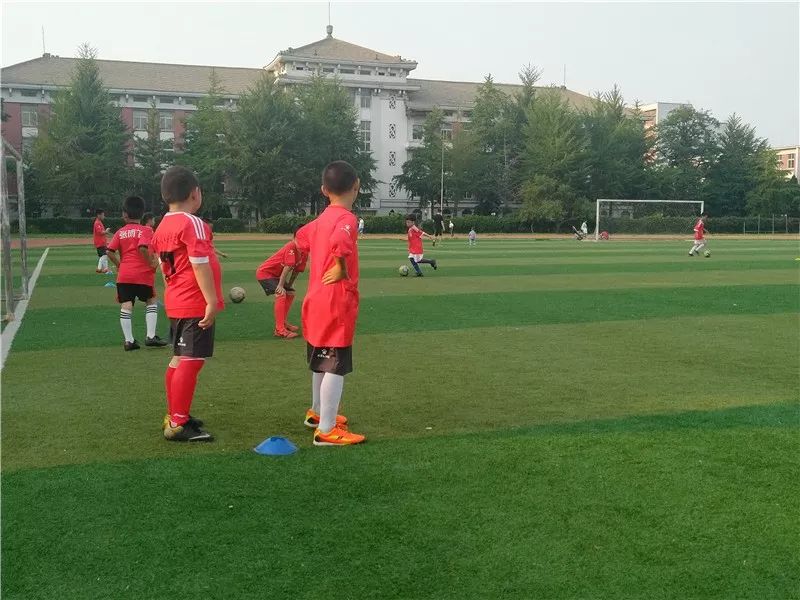 「毕业季之五」——沈河体校蓝天足球俱乐部：足球是纽带毕业不散场