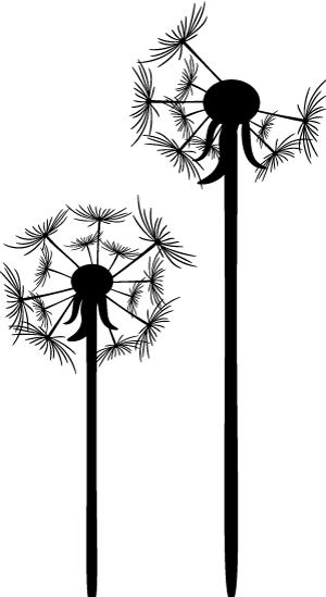 寻味街巷,寻味街巷美食